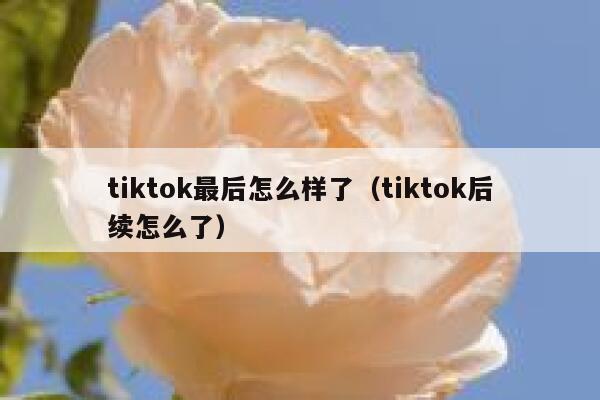 tiktok最后怎么样了（tiktok后续怎么了） 第1张