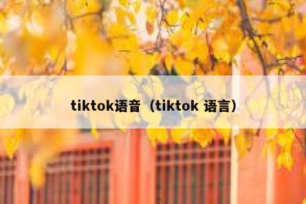 tiktok语音（tiktok 语言） 第1张