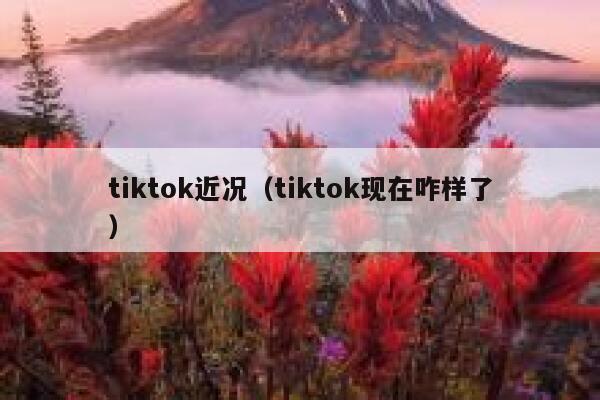 tiktok近况（tiktok现在咋样了） 第1张