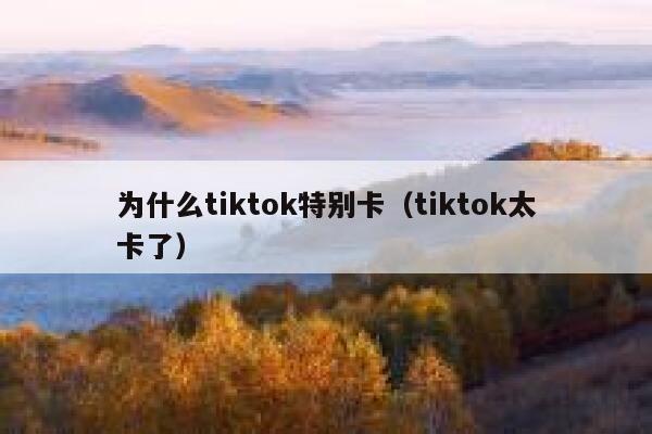 为什么tiktok特别卡（tiktok太卡了） 第1张