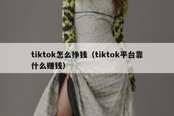 tiktok怎么挣钱（tiktok平台靠什么赚钱） 第1张