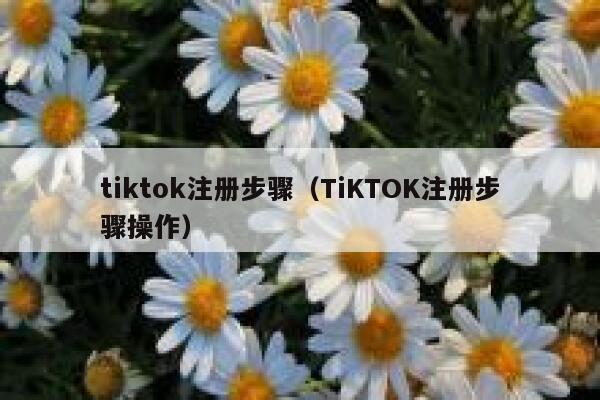 tiktok注册步骤（TiKTOK注册步骤操作） 第1张