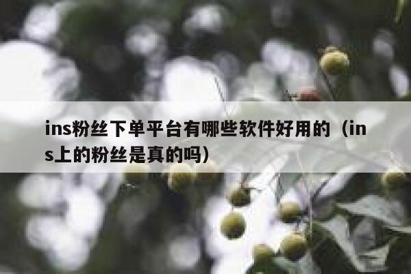 ins粉丝下单平台有哪些软件好用的（ins上的粉丝是真的吗） 第1张