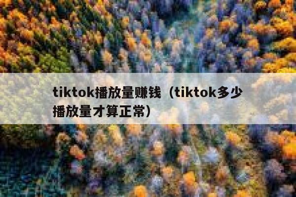 tiktok播放量赚钱（tiktok多少播放量才算正常） 第1张