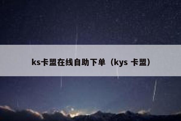 ks卡盟在线自助下单（kys 卡盟） 第1张
