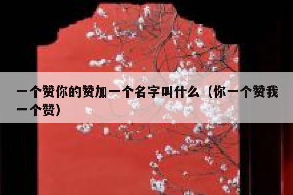 一个赞你的赞加一个名字叫什么（你一个赞我一个赞） 第1张