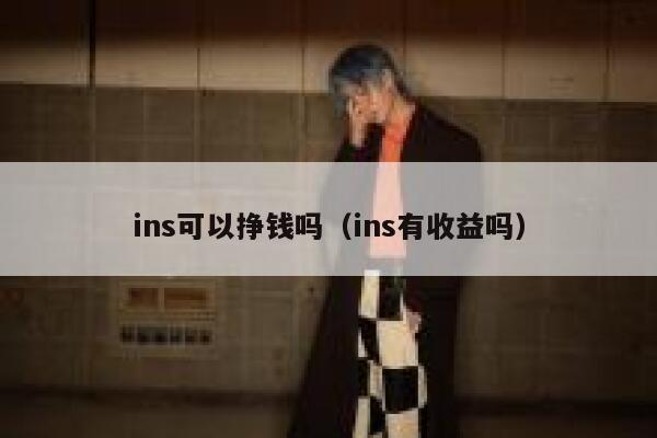 ins可以挣钱吗（ins有收益吗） 第1张