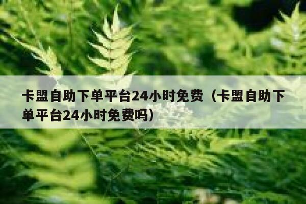 卡盟自助下单平台24小时免费（卡盟自助下单平台24小时免费吗） 第1张