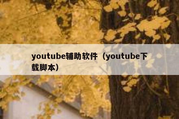 youtube辅助软件（youtube下载脚本） 第1张