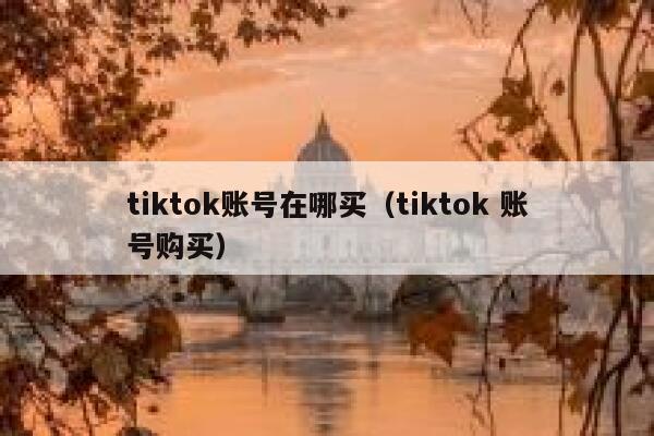 tiktok账号在哪买（tiktok 账号购买） 第1张
