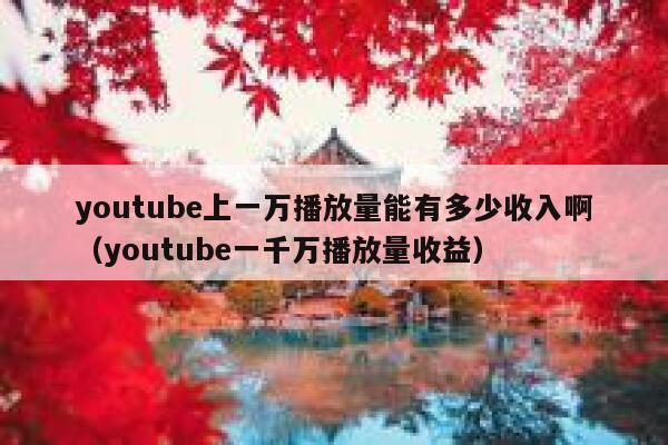 youtube上一万播放量能有多少收入啊（youtube一千万播放量收益） 第1张