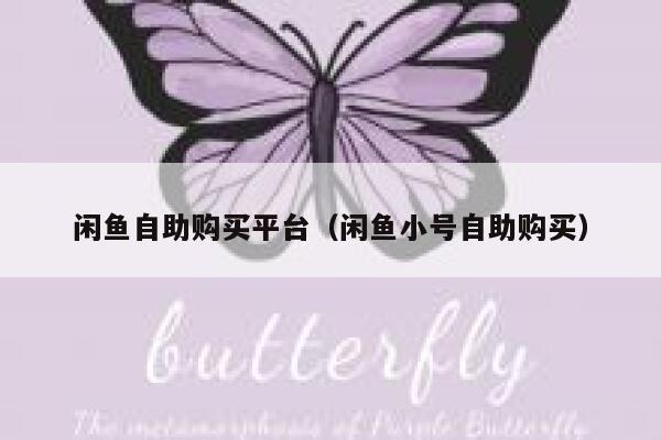 闲鱼自助购买平台（闲鱼小号自助购买） 第1张