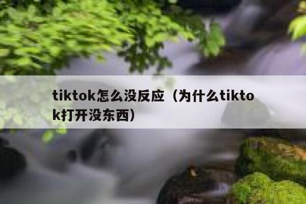 tiktok怎么没反应（为什么tiktok打开没东西） 第1张