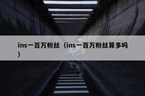 ins一百万粉丝（ins一百万粉丝算多吗） 第1张