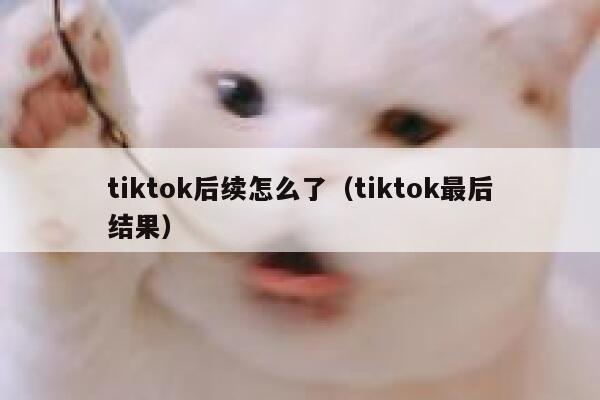 tiktok后续怎么了（tiktok最后结果） 第1张