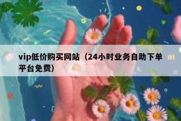 vip低价购买网站（24小时业务自助下单平台免费） 第1张