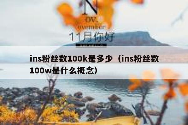 ins粉丝数100k是多少（ins粉丝数100w是什么概念） 第1张