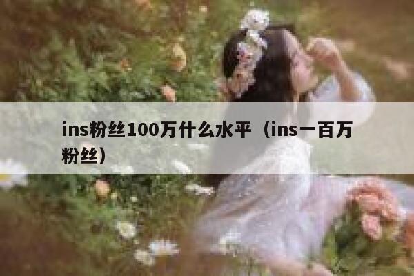 ins粉丝100万什么水平（ins一百万粉丝） 第1张