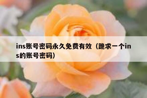 ins账号密码永久免费有效（跪求一个ins的账号密码） 第1张