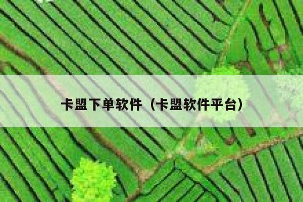 卡盟下单软件（卡盟软件平台） 第1张