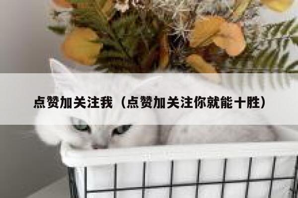 点赞加关注我（点赞加关注你就能十胜） 第1张