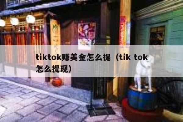 tiktok赚美金怎么提（tik tok怎么提现） 第1张