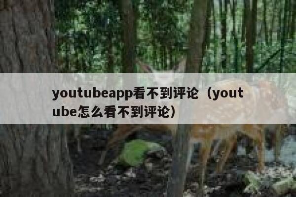 youtubeapp看不到评论（youtube怎么看不到评论） 第1张