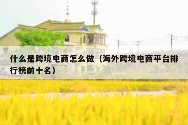 什么是跨境电商怎么做（海外跨境电商平台排行榜前十名） 第1张