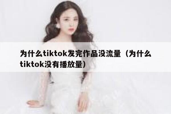 为什么tiktok发完作品没流量（为什么tiktok没有播放量） 第1张