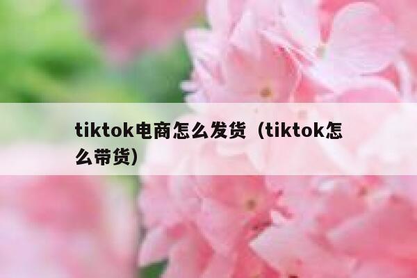 tiktok电商怎么发货（tiktok怎么带货） 第1张