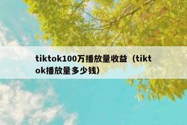 tiktok100万播放量收益（tiktok播放量多少钱） 第1张