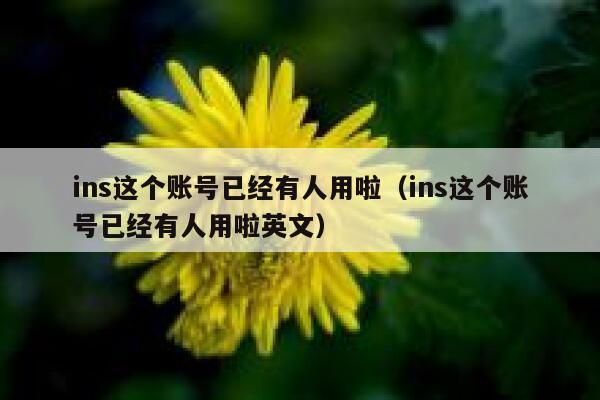ins这个账号已经有人用啦（ins这个账号已经有人用啦英文） 第1张