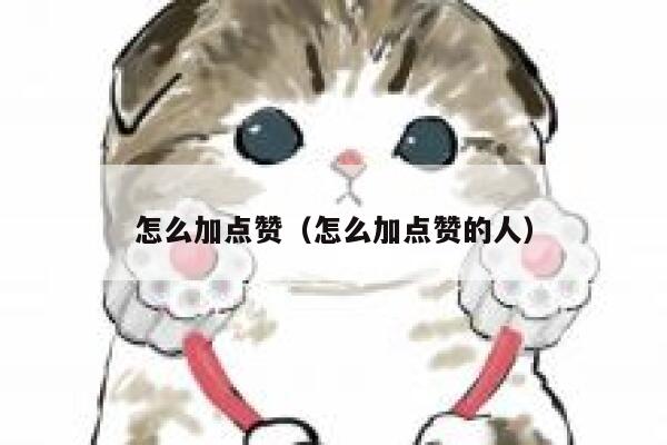 怎么加点赞（怎么加点赞的人） 第1张