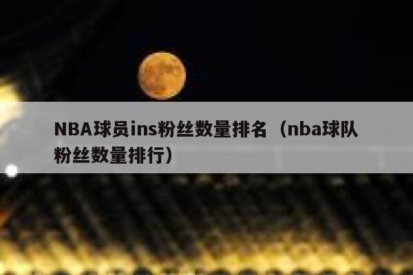 NBA球员ins粉丝数量排名（nba球队粉丝数量排行） 第1张