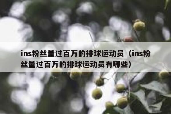 ins粉丝量过百万的排球运动员（ins粉丝量过百万的排球运动员有哪些） 第1张