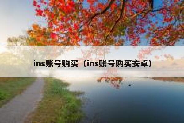 ins账号购买（ins账号购买安卓） 第1张
