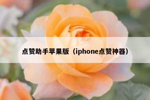 点赞助手苹果版（iphone点赞神器） 第1张