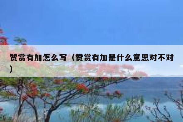 赞赏有加怎么写（赞赏有加是什么意思对不对） 第1张