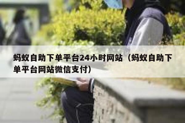 蚂蚁自助下单平台24小时网站（蚂蚁自助下单平台网站微信支付） 第1张