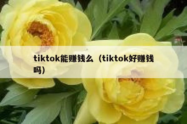 tiktok能赚钱么（tiktok好赚钱吗） 第1张