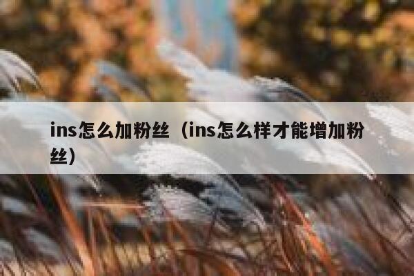 ins怎么加粉丝（ins怎么样才能增加粉丝） 第1张
