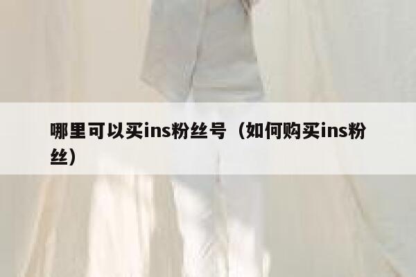 哪里可以买ins粉丝号（如何购买ins粉丝） 第1张