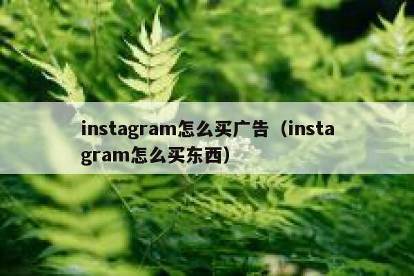 instagram怎么买广告（instagram怎么买东西） 第1张