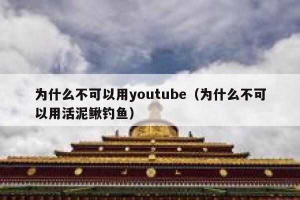为什么不可以用youtube（为什么不可以用活泥鳅钓鱼） 第1张
