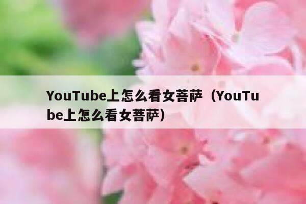 YouTube上怎么看女菩萨（YouTube上怎么看女菩萨） 第1张