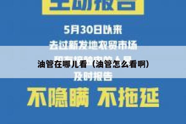 油管在哪儿看（油管怎么看啊） 第1张