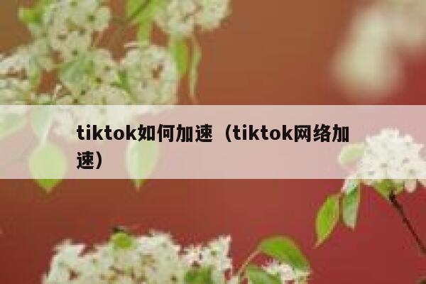 tiktok如何加速（tiktok网络加速） 第1张