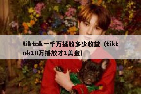 tiktok一千万播放多少收益（tiktok10万播放才1美金） 第1张
