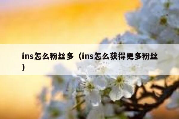 ins怎么粉丝多（ins怎么获得更多粉丝） 第1张