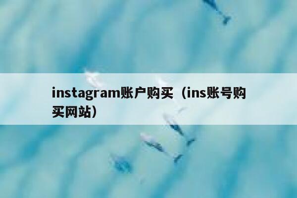 instagram账户购买（ins账号购买网站） 第1张